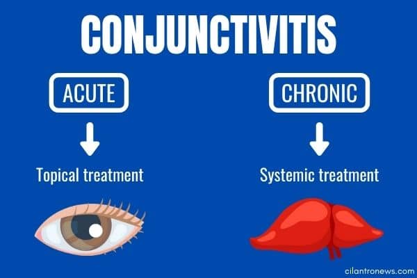 Treatment for acute and chronic pink eye (conjunctivitis).