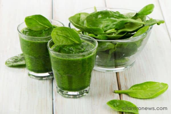 Spinach juice omega-3 fatty acids for liver flukes.