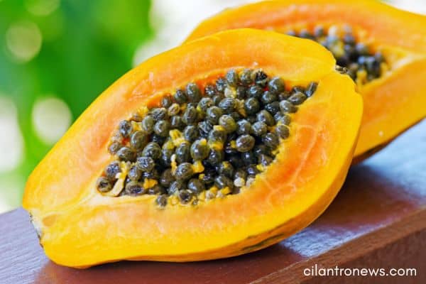 Do papaya seeds kill parasites?